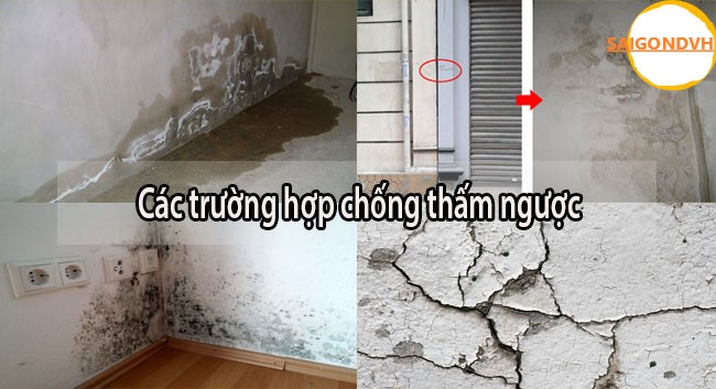 Các trường Hợp Chống thấm Ngược